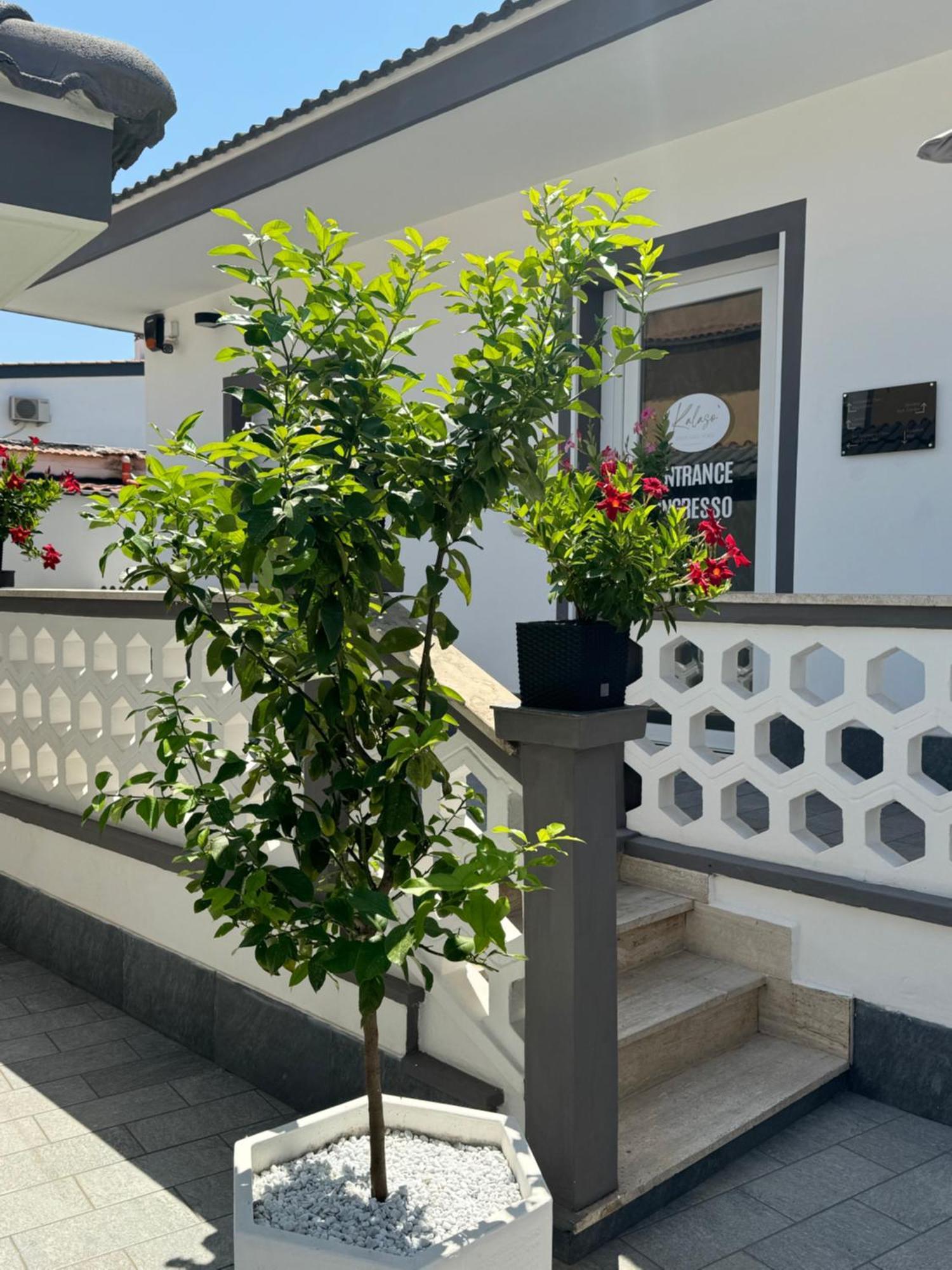 Kalaso Design Guest House - Rome Airport Fiumicino Zewnętrze zdjęcie